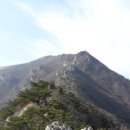 산과바다 이미지