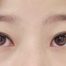 반달브로우 네이버블로그