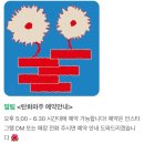 탄화와주 이미지