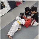 도마효태권도장 이미지