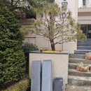 화강석 석재 돌 계단 백화제거 및 들뜬부분 보수 시공 수리(서울 서대문구 사례)