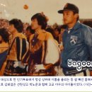 동열이야구장 이미지