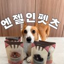 펫츠마트 | [수제간식] 부산 동래구 강아지 수제간식 전문점, 엔젤인펫츠 급여 후기