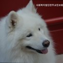 천주교인보회행복한집 네이버블로그