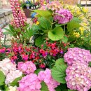 성주관광주유소 이미지