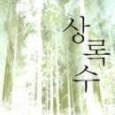 상록수 이미지