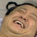 금시초멘 이미지