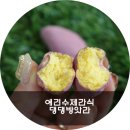 댕댕방앗간 이미지