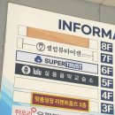 셀럽 뷰티어겐
