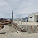 키키디디 이미지