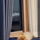 순천시푸드뱅크 이미지