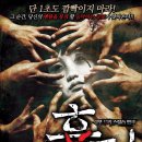 씨티피아세흥