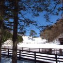 춘삼월목장 이미지