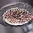 선ENG