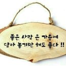 조명준 이미지