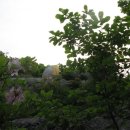 소사목장 이미지