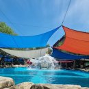 신덕평로 이미지