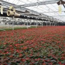 장일농장 이미지