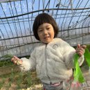 다리목농장 이미지