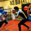 에이스복싱 이미지
