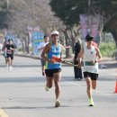 태안군, 제5회 전국어울림마라톤대회 성황리 마쳐(태안타임즈) 이미지