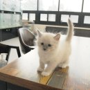 익산제일병원 이미지