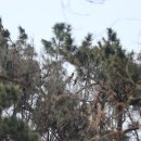 개나리목장 이미지