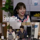 마리텔 티브이데일리
