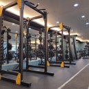 엠휘트니스9 이미지