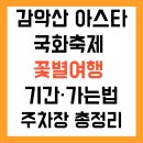 신원면-38 | 💜 감악산 아스타국화축제 꽃별여행 기간·가는법·주차장 총정리