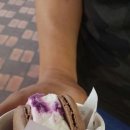 하이게임랜드 이미지