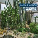 서울숲 곤충식물원(내부) 화장실 | 서울 성수 실내놀거리 곤충식물원 추천, 서울숲 12월 실시간 단풍