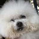 카츠애앤푸드라이프 | 𝑴𝒂𝒓 ➁ 롯데자이언츠 사직야구장 시범경기 ⚾️ &amp; 라이프오브파이 부산 🐯