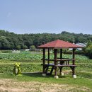 내동마을 입구 이미지