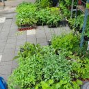 원주쇼핑 이미지