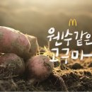 일석이조 티스토리