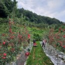 채호농장 이미지