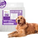 쿵이 | 💩 특대형 강아지 배변패드 후기 🐾 콩이 쿵이도 만족한 이유는?