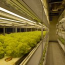 학사경로당 이미지