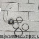 바디스페이스(219) 이미지