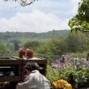 하양PC | 창원 꿈틀그린 예약방법 복숭아나무석 후기