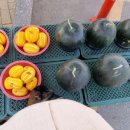 이수병원 이미지