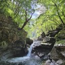 수도산자연휴양림 네이버블로그