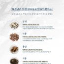 반려동물보감연구소 이미지