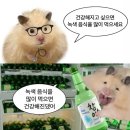 동두천 부대찌개 이미지