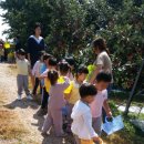 해가빛어린이집 이미지