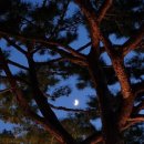 광동숯불오리 이미지