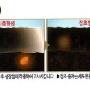고려농약사 네이버블로그