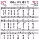 207 Daum카페