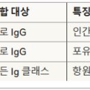 G3475 네이버블로그